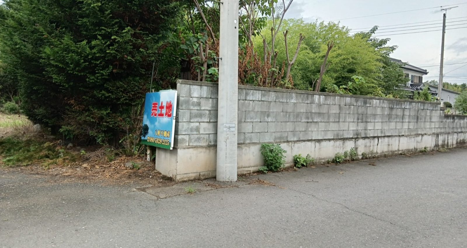 WhatsApp Image 2025-09-30 at 22.27.42_56e31a04