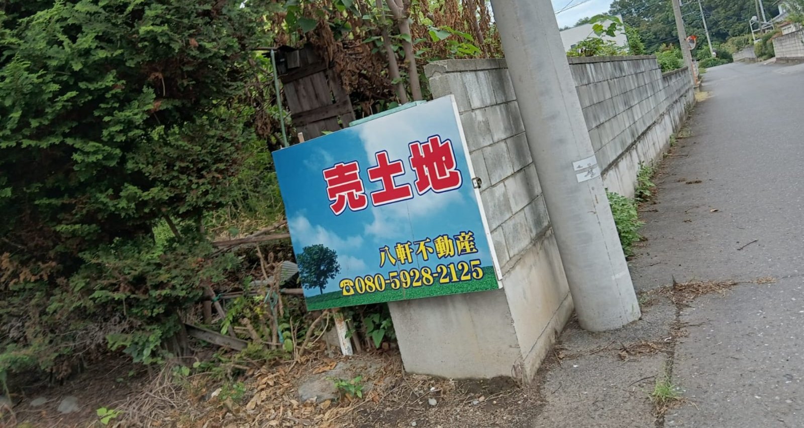 WhatsApp Image 2025-09-30 at 22.27.44_a6bdc261