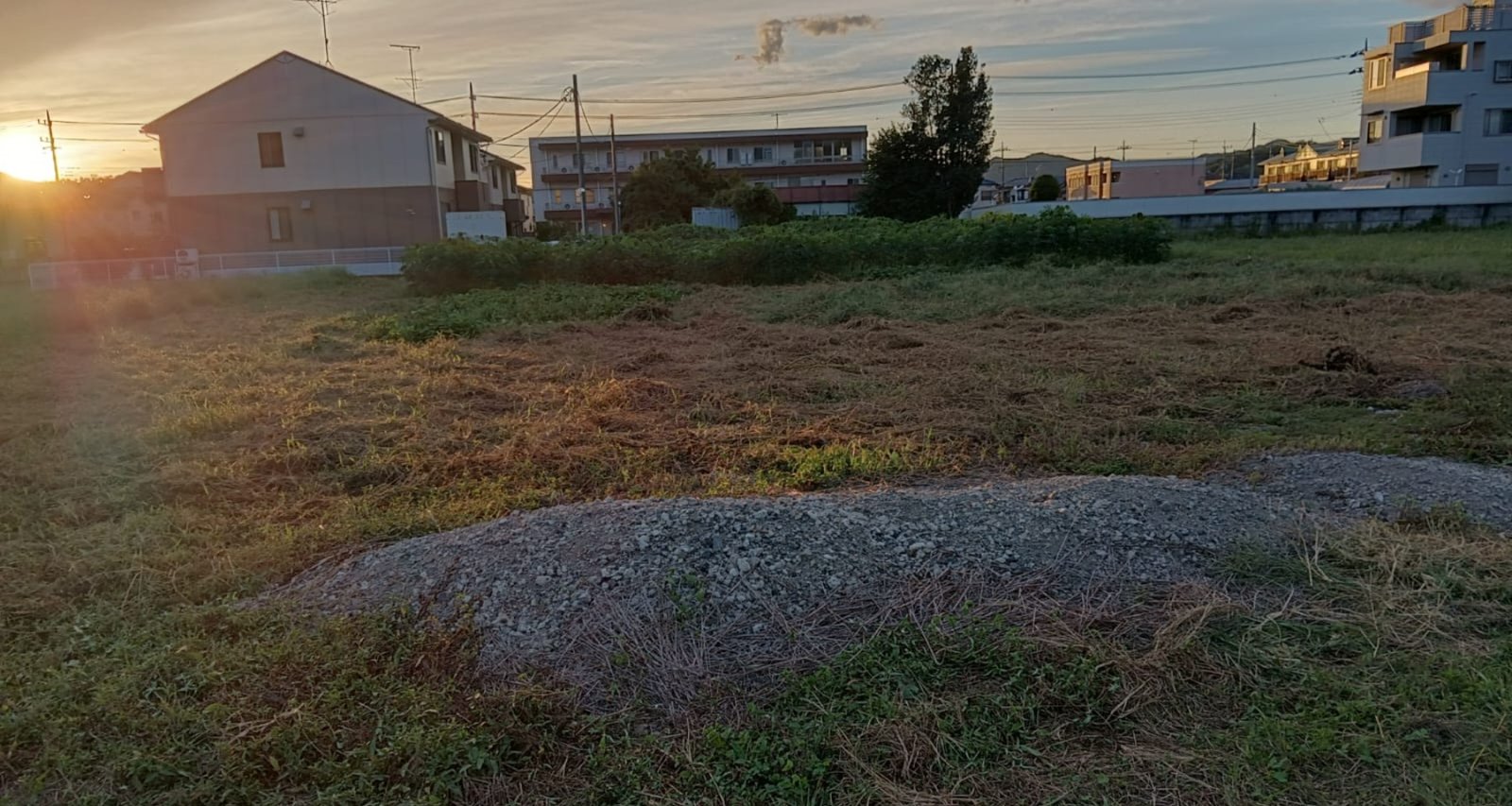 WhatsApp Image 2025-09-30 at 22.27.45_004bc0b4