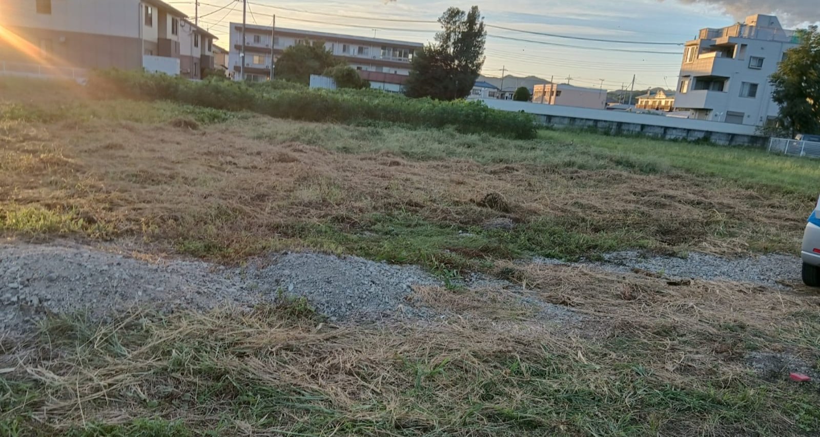 WhatsApp Image 2025-09-30 at 22.27.45_c7a004db