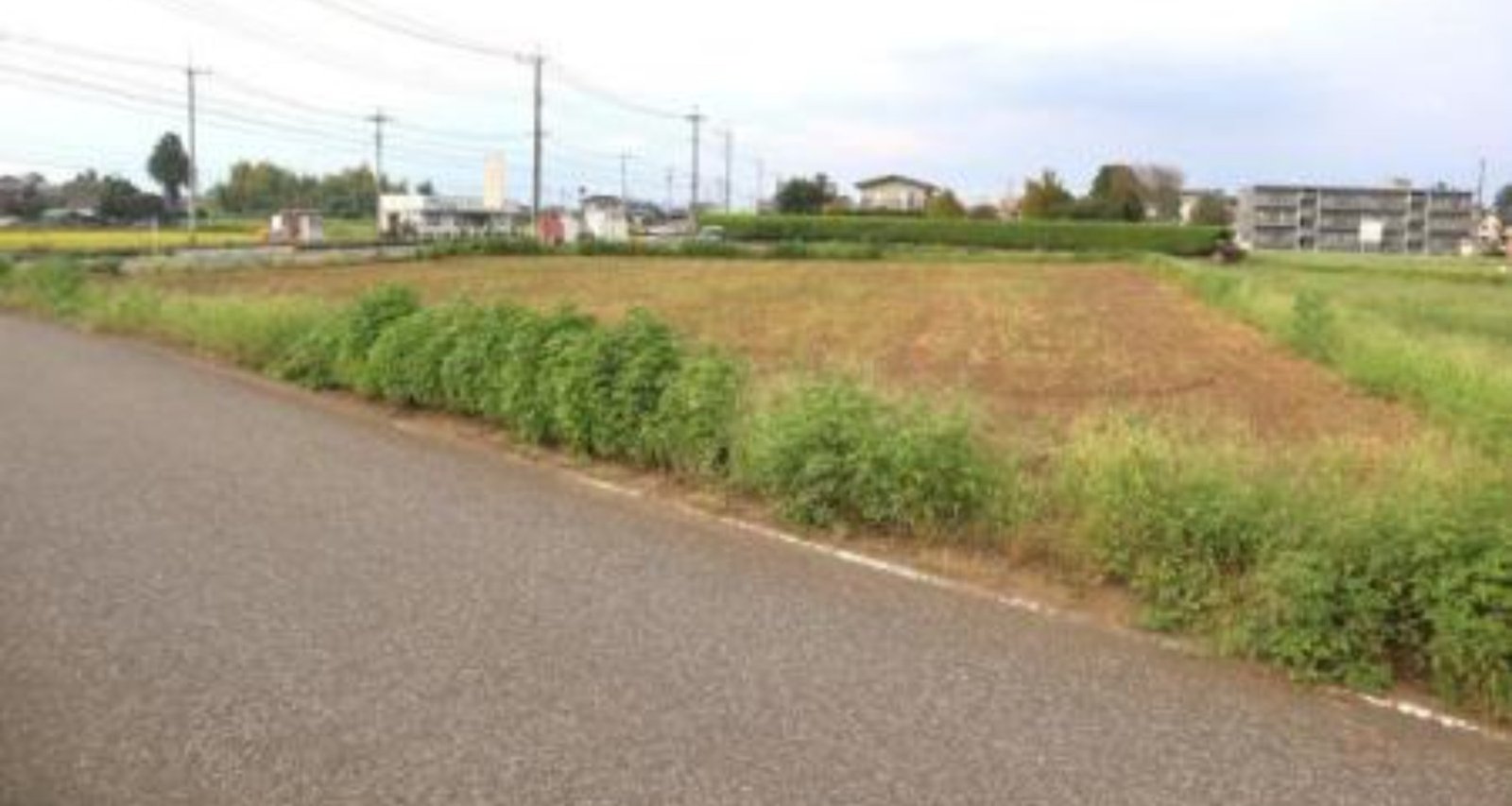 rl-135070181__0__300