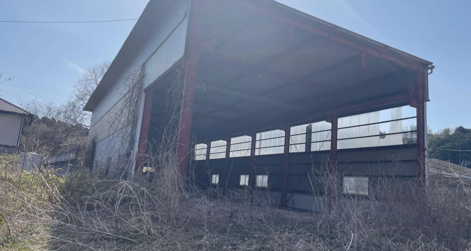 WhatsApp Image 2026-03-19 at 09.20.20 (1)