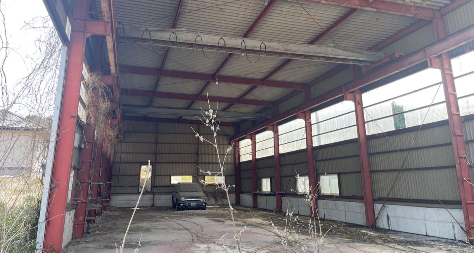 WhatsApp Image 2026-03-19 at 09.20.20