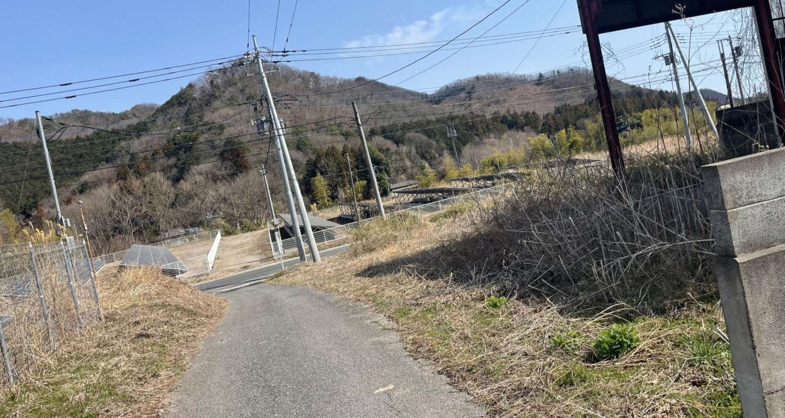 WhatsApp Image 2026-03-19 at 09.20.21 (1)