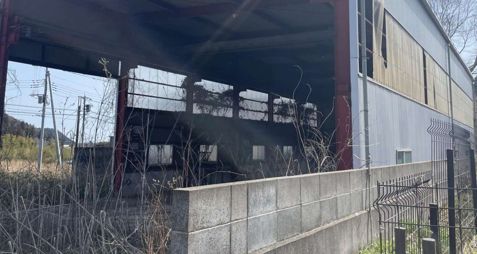 WhatsApp Image 2026-03-19 at 09.20.21